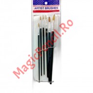 Set 6 pensule pictura, varf ascutit