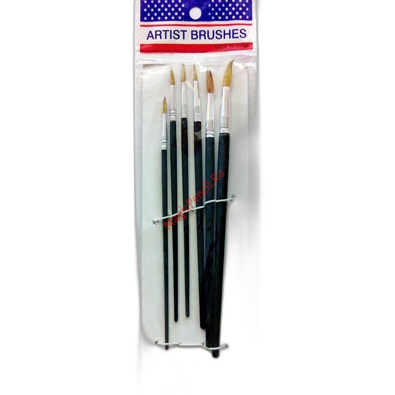 Set 6 pensule pictura, varf ascutit