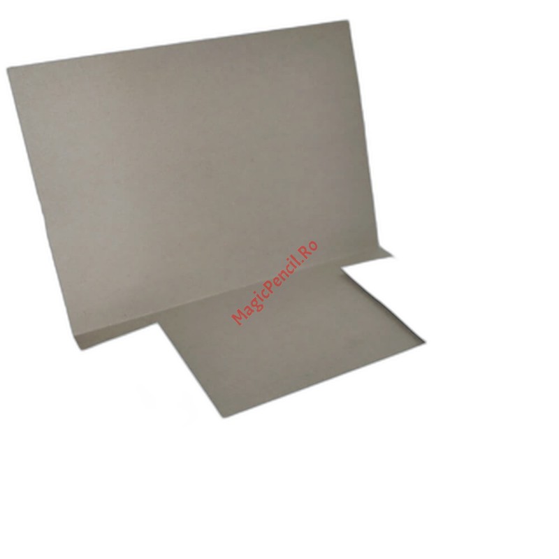 Dosar carton, tip plic