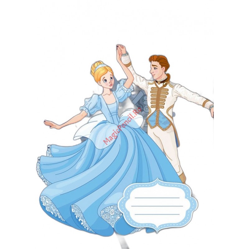 Caiet A5, 16 file, Tip 2