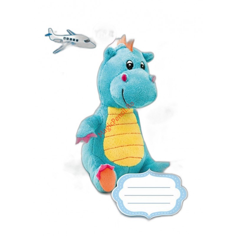 Caiet A5, 16 file, Tip 2