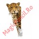Caiet A5, 48 file, matematica
