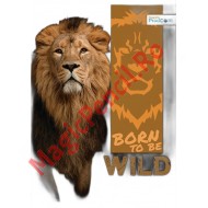 Caiet A5, 48 file, matematica