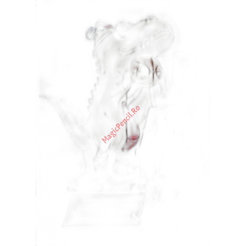 Caiet A5, 48 file, dictando