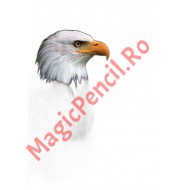 Caiet A5, 48 file, dictando