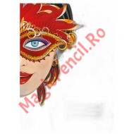 Caiet A5, 48 file, dictando