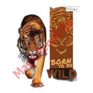 Caiet A4 48 file, studentesc, matematica