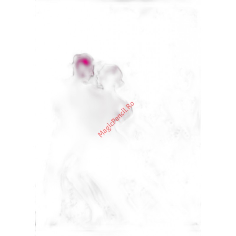 Caiet A4 48 file, studentesc, dictando