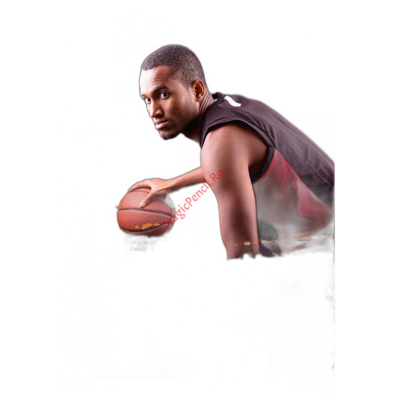 Caiet A4 48 file, studentesc, dictando