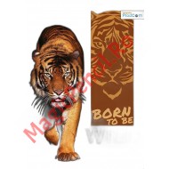 Caiet A4 48 file, studentesc, dictando