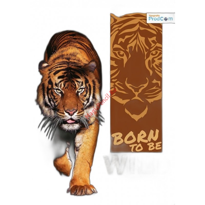 Caiet A4 48 file, studentesc, dictando