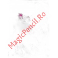 Caiet A4 80 file, studentesc, matematica