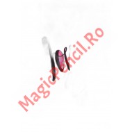 Caiet A4 80 file, studentesc, matematica