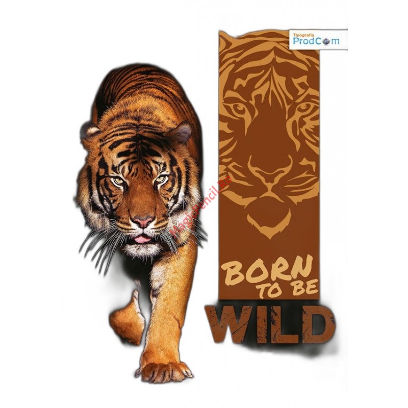 Caiet A4 80 file, studentesc, dictando