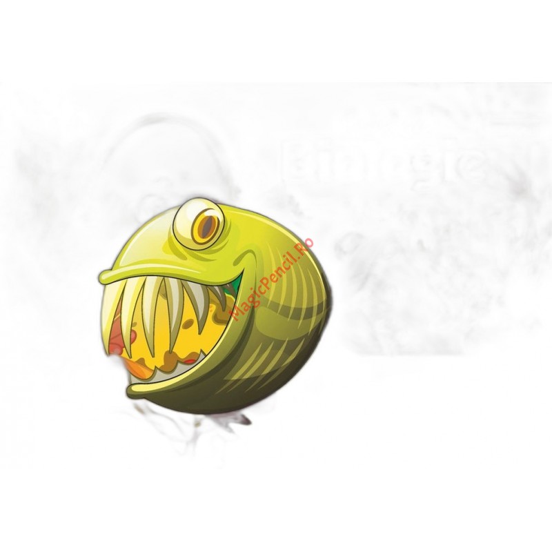 Caiet Biologie, 24 file