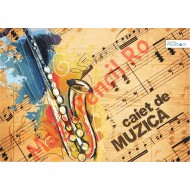 Caiet Muzica, 16 file