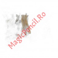 Puzzle 100 piese povesti, Capra cu trei iezi