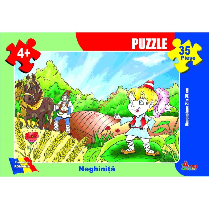 Puzzle 35 piese povesti, Neghinita