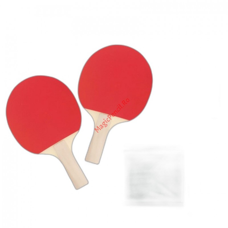 Set palete tenis de masa + fileu