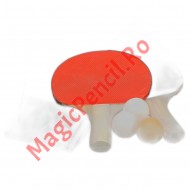 Set palete tenis de masa + fileu