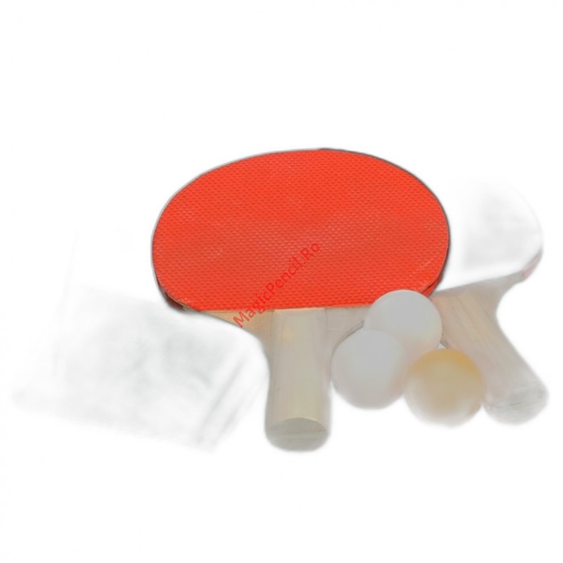 Set palete tenis de masa + fileu