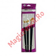 Set 6 pensule pictura, varf drept