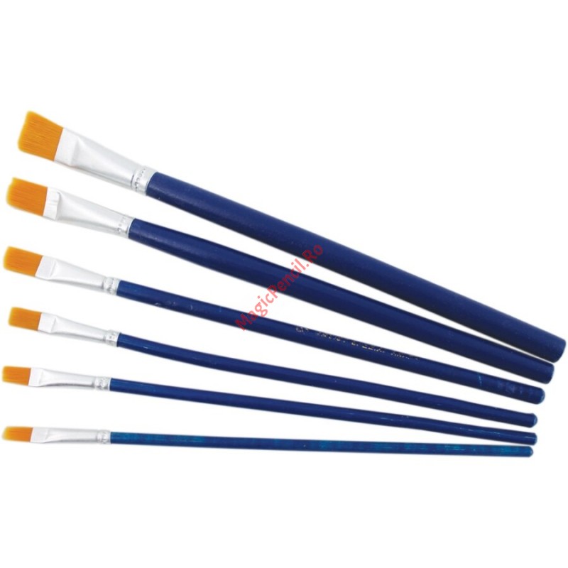 Set 6 pensule pictura, varf drept