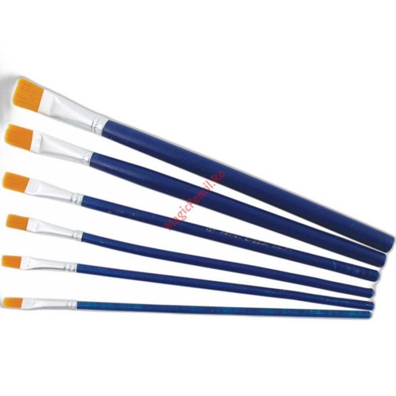 Set 6 pensule pictura, varf drept