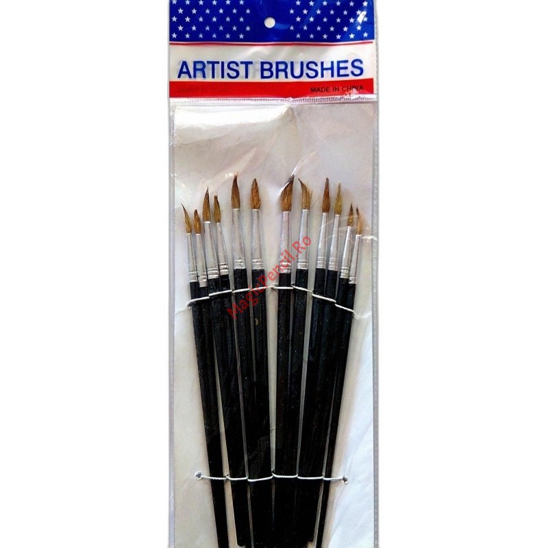 Set 12 pensule pictura, varf ascutit