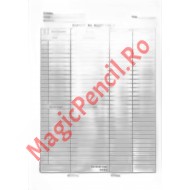 Raport gestiune zilnic, capsat, 90 file