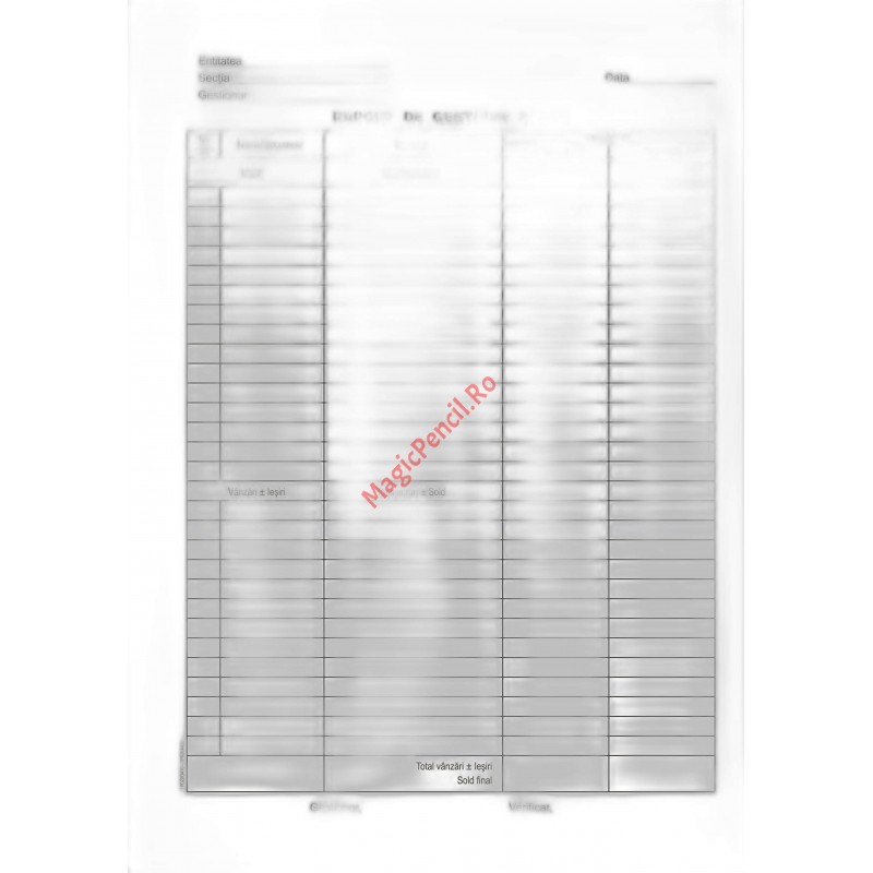 Raport gestiune zilnic, capsat, 90 file