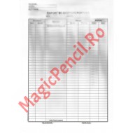 Raport gestiune periodic, capsat, 90 file