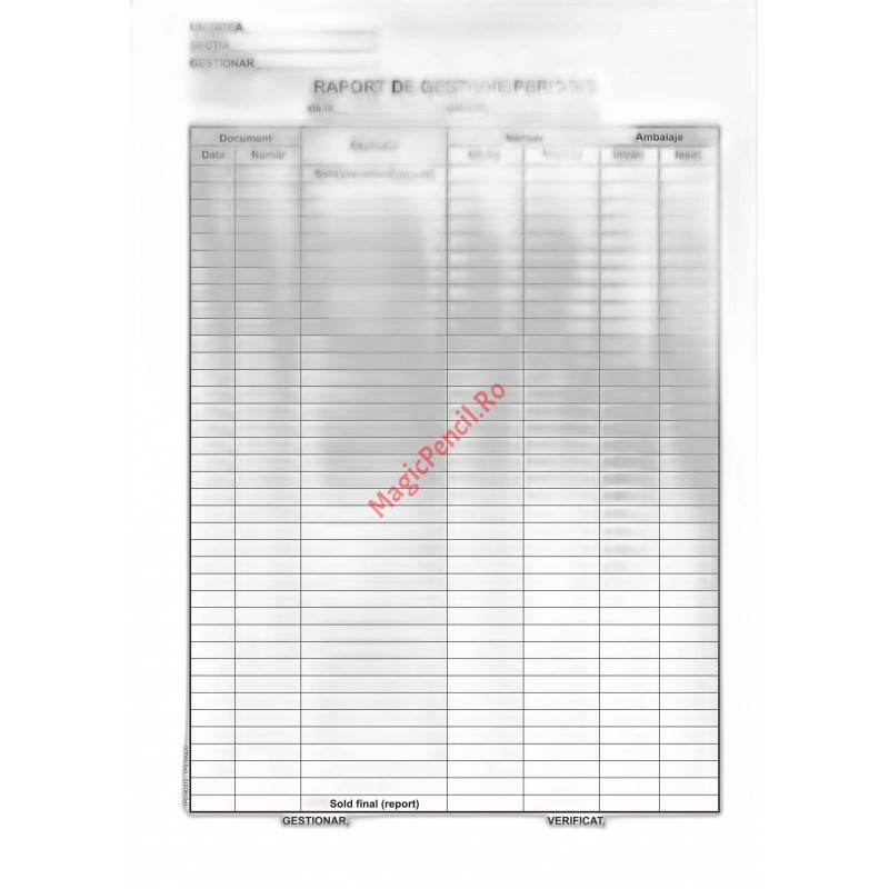 Raport gestiune periodic, capsat, 90 file