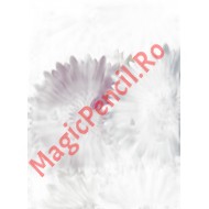 Hartie cerata colorata, cadou, flori multicolor, 50x70