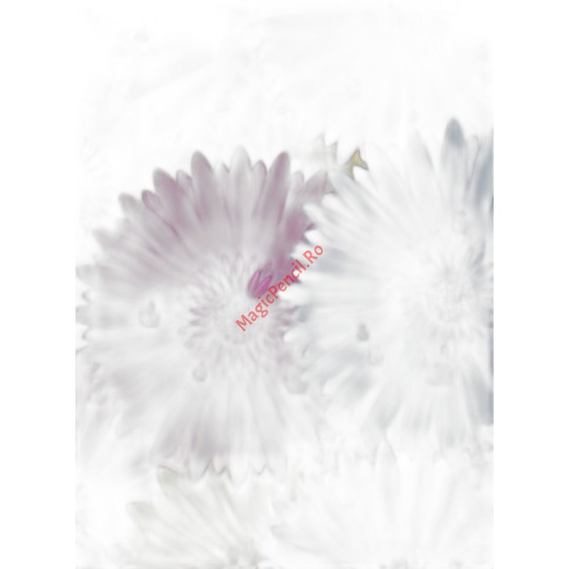 Hartie cerata colorata, cadou, flori multicolor, 50x70