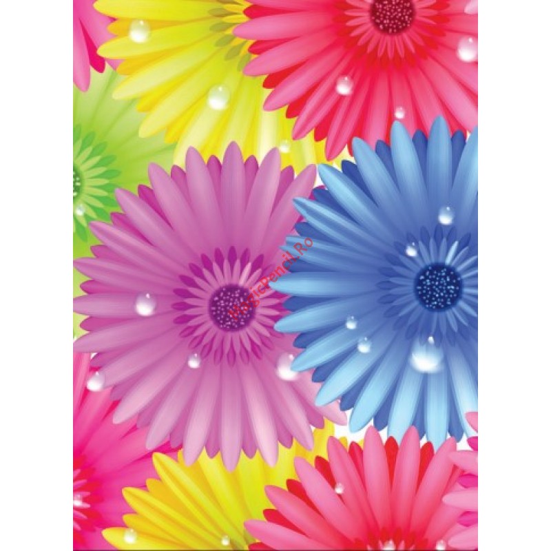 Hartie cerata colorata, cadou, flori multicolor, 50x70