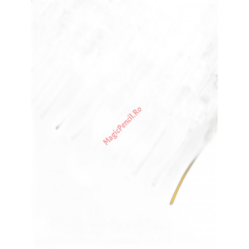 Set 12 markere acrilice, vopsea, alcool, tip Posca