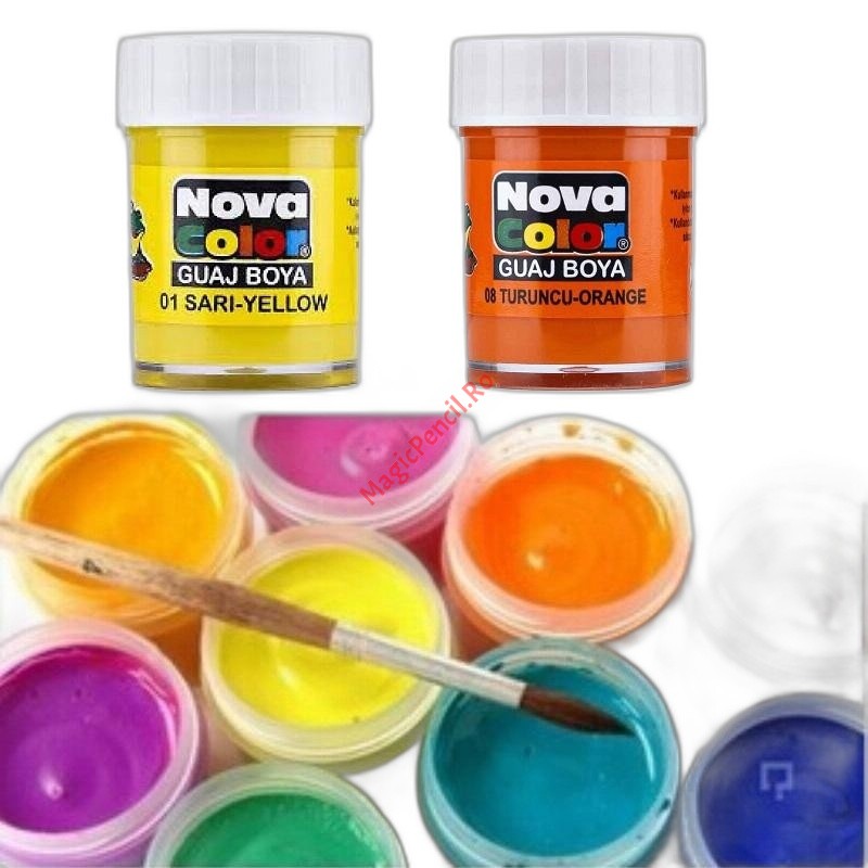 Tempera tip Goase, 12 culori, 30ml, Nova Color