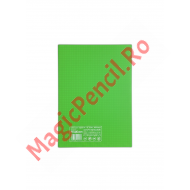 Caiet A4, 80 file, PP, dictando, verde