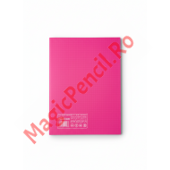 Caiet A4, 80 file, PP, dictando, roz